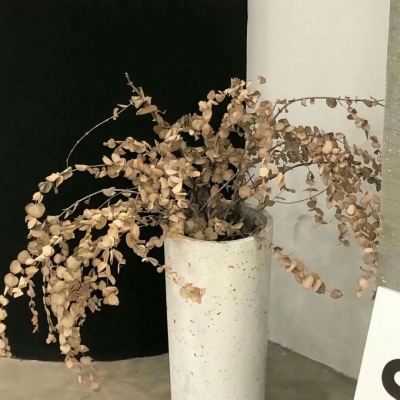 兽设沙漠场景绘制Furry群